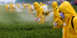 France : l’Agence sanitaire annonce le retrait de 36 produits à base de glyphosate
