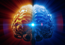 Un médecin explique la glande pinéale et sa destruction par des produits chimiques toxiques