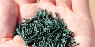 Ou trouver de la bonne Spiruline Bio et pas cher en France ?