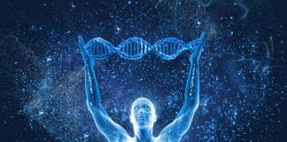 Votre ADN change ! Découvertes révolutionnaires sur l’ADN par David Wilcock