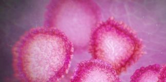 Le virus Corona qui se propage en Chine