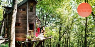 Ils ont choisi de vivre autrement : Enquêtes de Région