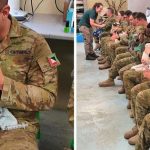 militaires australiens soignent koalas une 888x465 1