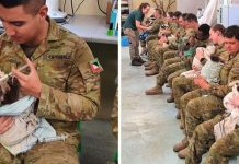 Des militaires australiens prennent soin des koalas