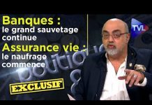 P. Jovanovic – Banques : le sauvetage continue – Assurance vie : le naufrage commence – Poléco n°245