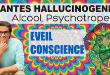 Plantes hallucinogènes, alcool, psychotropes… leurs effets sur l’éveil de la conscience