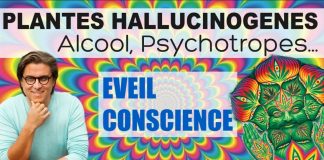 Plantes hallucinogènes, alcool, psychotropes… leurs effets sur l’éveil de la conscience