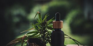 Les bienfaits du CBD – la version légale en France du Cannabis