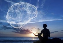 Comment connecter le Cœur et le CERVEAU ? | Gregg BRADEN (Français)