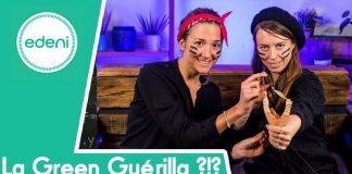 Green Guerilla : La Bombe de Graines pour refleurir nos villes