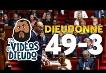 Dieudonné : 49-3 – commenté par L.