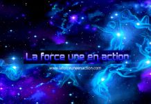 213 en 2020 l’émission qui accompagne la transition planétaire vers la Nouvelle Ère partie 12