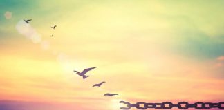 La Liberté est donnée à tous par Dieu et aucun humain ne peut vous dire ce que vous avez à faire