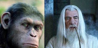 Le Conseil des Sages, ou le conseil des Singes ?