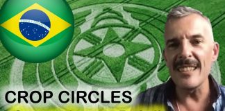 CROP CIRCLES 2020 : Divulgations / OVNIs / France Brésil Canada / été 2019 – Pascal Treffainguy