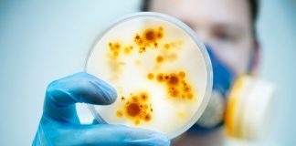 Enquête à l’institut Pasteur : le directeur convoqué