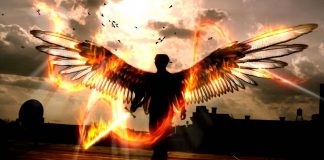 N’ayez pas peur – Q Anon