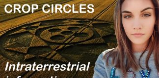 Channeling with Lulumineuse and intraterrestrials about crop circles