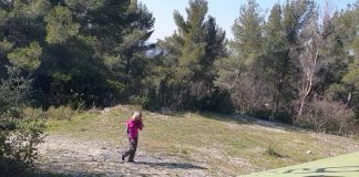 Que va-t-on garder de l’ancien monde ? – Libération de l’Humanité – 2