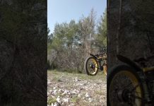 Libération de l’Humanité – 3