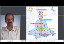 Module 1 cours 5 : Comment éveiller sa kundalini