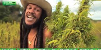 Nouvelles du nouveau monde – Aniss Odua – Chalawa (Génération H)