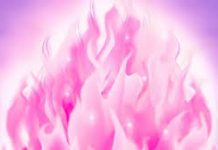 213 en 2020 l’émission qui accompagne la transition planétaire vers la nouvelle Ère partie 15