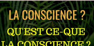 LA CONSCIENCE ? QU’EST-CE QUE LA CONSCIENCE ?