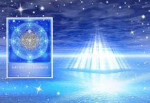 213 en 2020 l’émission qui accompagne la transition planétaire vers la nouvelle ère partie 18