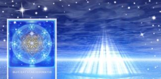 213 en 2020 l’émission qui accompagne la transition planétaire vers la nouvelle ère partie 18