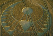 Nouveau crop circle époustouflant ! – l’heure est venue ;)