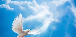 Je ne souhaite que ton bonheur parfait