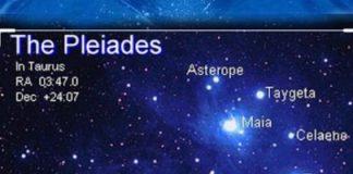 Portail Pléiadien 16- 24 MAI 2020 et prochain groupe de reconnexion par Naiya Rose Bleue Pléiades