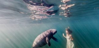 Le vrai renoncement pour sortir du rêve (Maya)