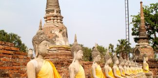 Le Réveil de Gaïa !