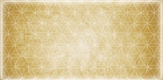 Qu’est-ce que l’espace-temps ? Espace-temps et fleur de vie