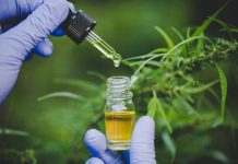 Le cannabis pourrait bloquer l’infection par COVID-19, selon une étude