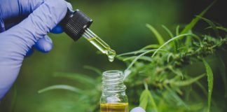 Le cannabis pourrait bloquer l’infection par COVID-19, selon une étude