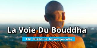 La Voie Du Bouddha – Une Histoire Intemporelle