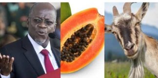 La Tanzanie suspend le chef du laboratoire national de santé après que le président ait remis en question les tests sur le coronavirus