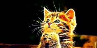 Le pardon est la clé du bonheur.