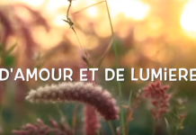 Notre corps se nourrit d’Amour !