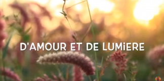 Notre corps se nourrit d’Amour !