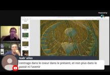 En DIRECT avec Umberto Molinaro pour les premiers Crop Circles de 2020 !