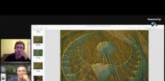 En DIRECT avec Umberto Molinaro pour les premiers Crop Circles de 2020 !