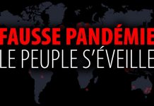 Fausse pandémie – Le peuple s’éveille – Documentaire d’Eric Daoust