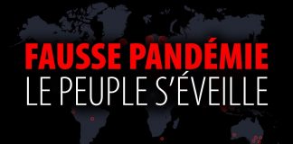 Fausse pandémie – Le peuple s’éveille – Documentaire d’Eric Daoust