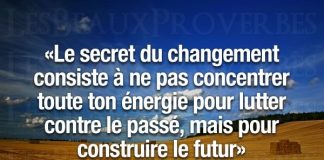 Newparadigm: message d’un Hearing Voices. L’invraisemblable certitude d’une manipulation extraterrestre. Qu’en est-il des futurs possibles et comment y faire face ?