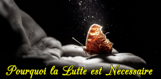 Pourquoi Ma Vie Est Une Lutte ?