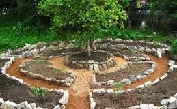 8 étapes pour retrouver l’autonomie alimentaire